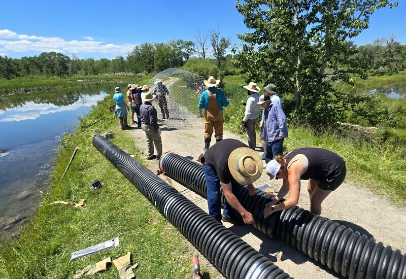 Workshop participants working together to install and test a dual intake and culvert protection system in Waterton Biosphere Region