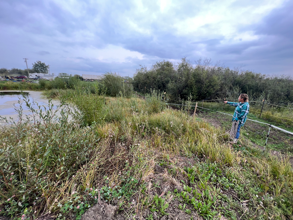 Tammie on her acreage talking about working with the natural flow of water.