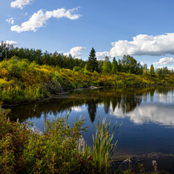 Beaver Hills Biosphere an unmistakeable landscape