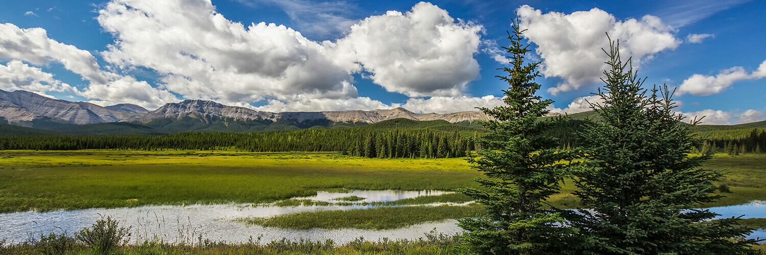 Grassroots News inspiring Alberta's stewards