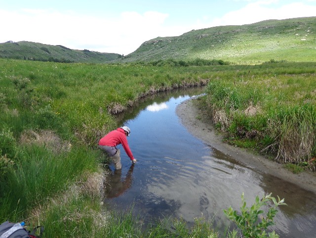 A person in a red sweater taking water samples in the creek in Bighill Creek Valley.