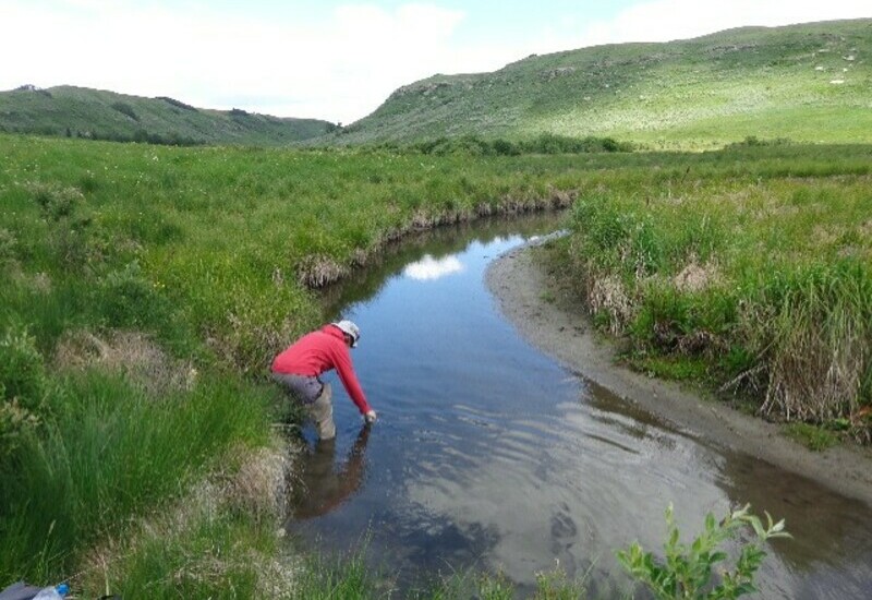 A person in a red sweater taking water samples in the creek in Bighill Creek Valley.