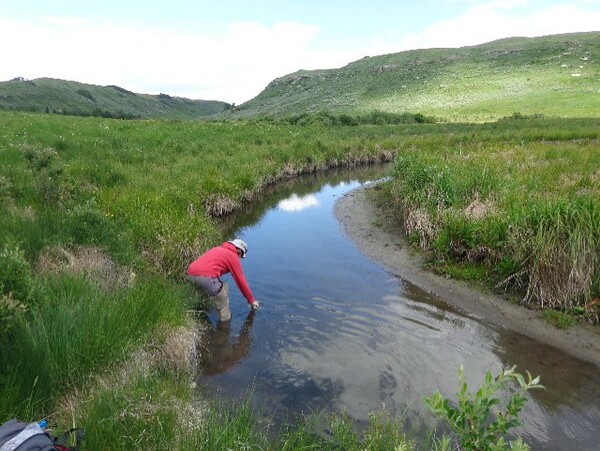 Dr. Yeman Fouli taking water samples in the Bighill Creek Valley.