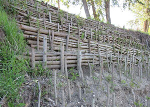 Bio-engineering on the river valley trails near Devon. Photo: Associated Engineering