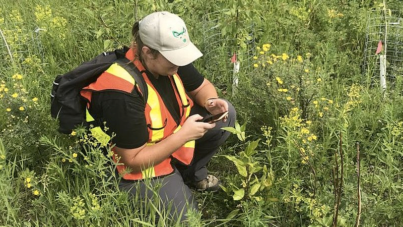Friends of Fish Creek Provincial Park Society volunteer using an app to collect data