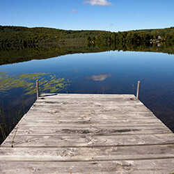 Natural Decisions and Land Stewardship Centre working together