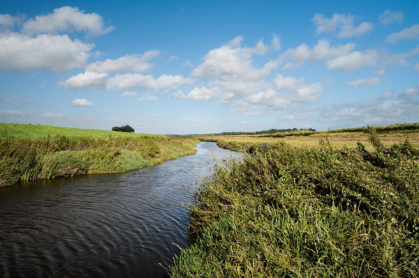 Watershed being restored in Wheatland County with support from Alberta’s government. Photo credit: Wheatland County