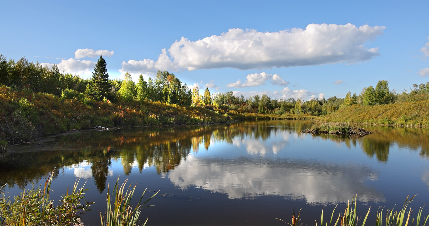 Alberta's boreal region