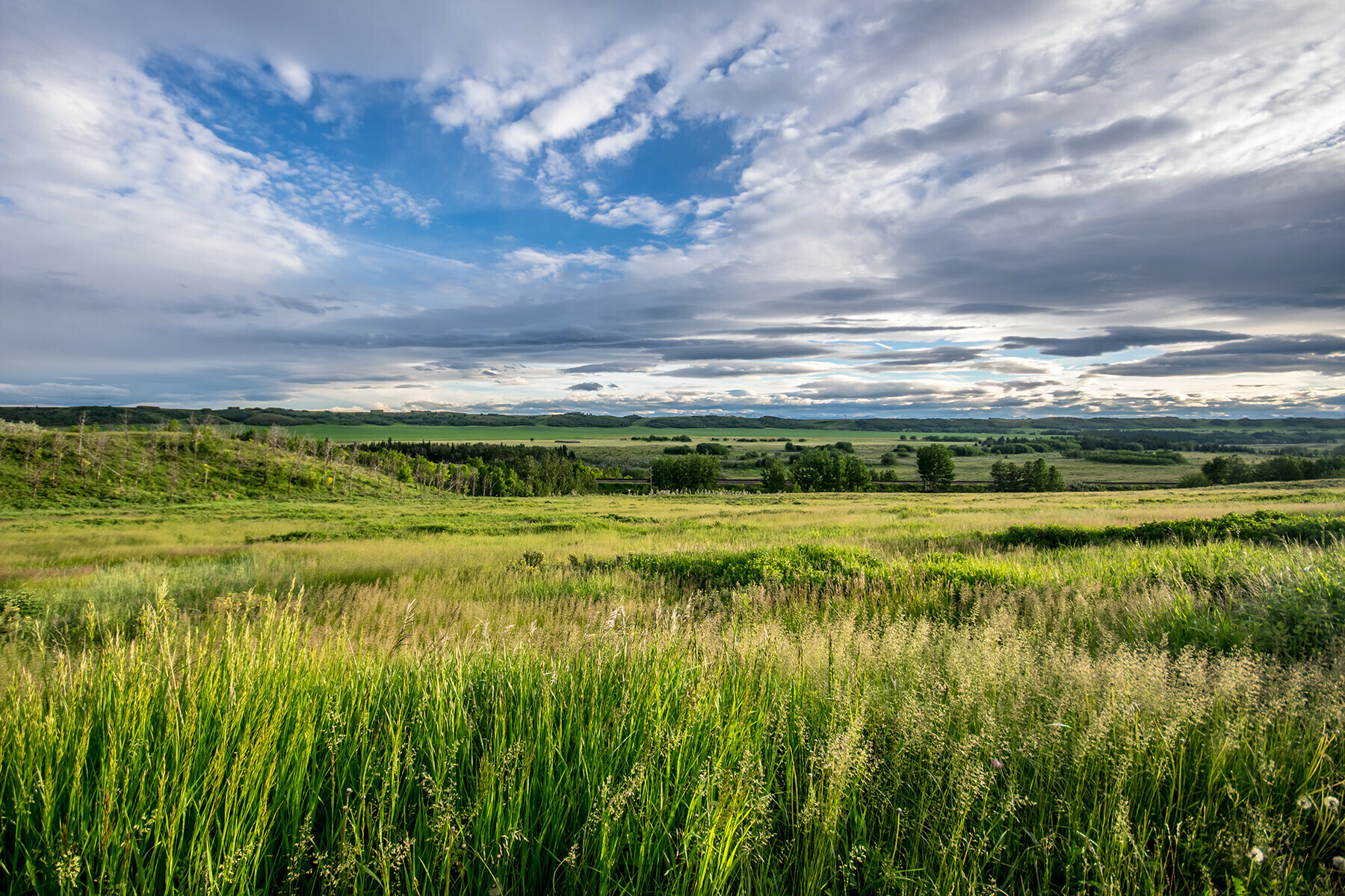 Alberta's prairie parklands