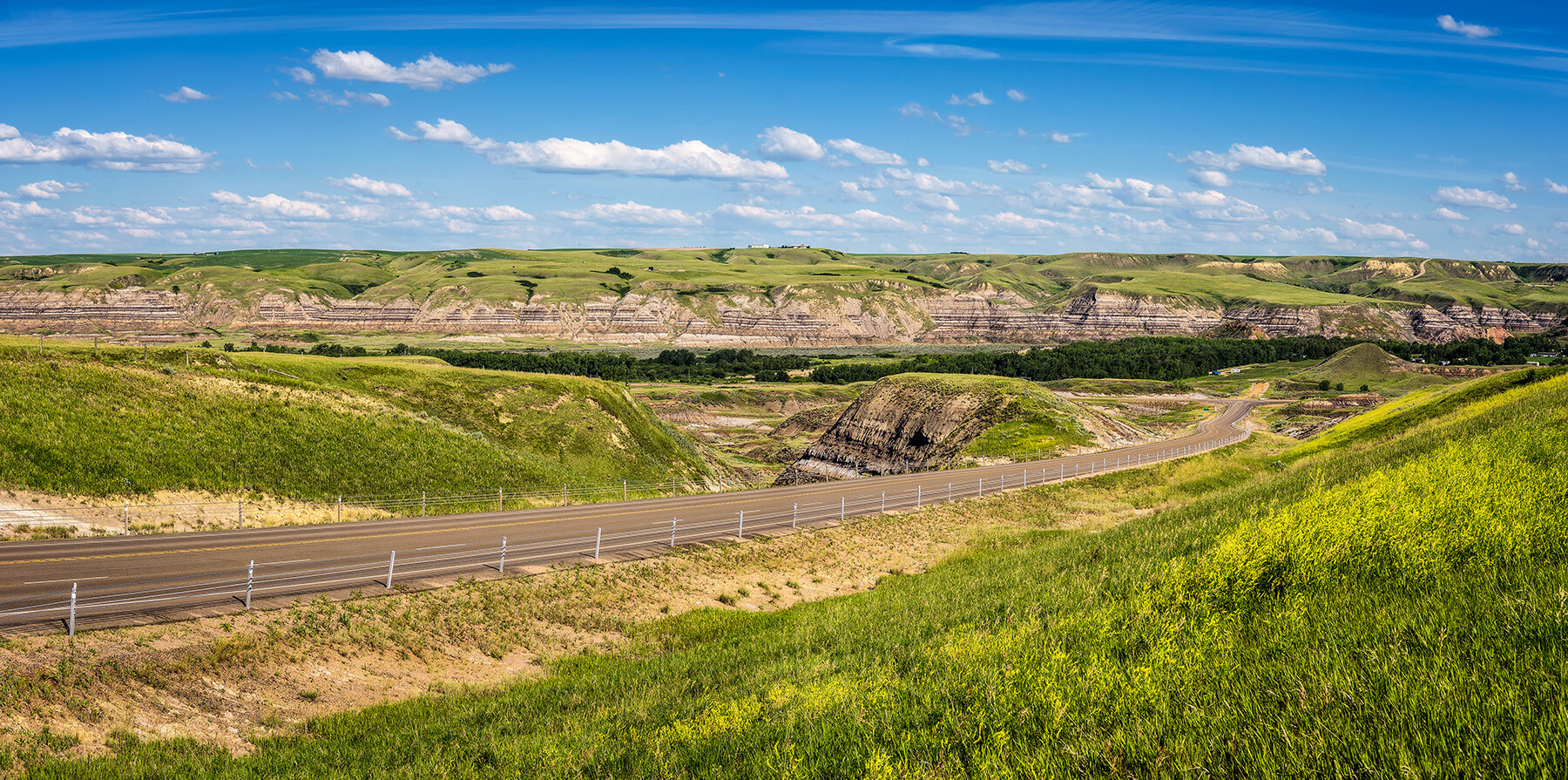 Alberta's grassland region